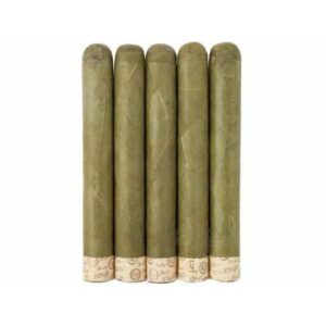 The Edge Rocky Patel