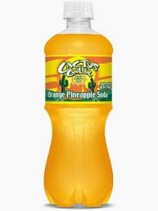 CACTUS COOLER 20OZ